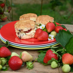 Strawberries & Cream Re-usable Plates set of 4