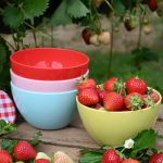 Strawberries & Cream Re-usable Bowls set of 4