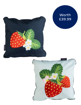 Strawberries & Cream Double Sided Outdoor Cushion set of 2