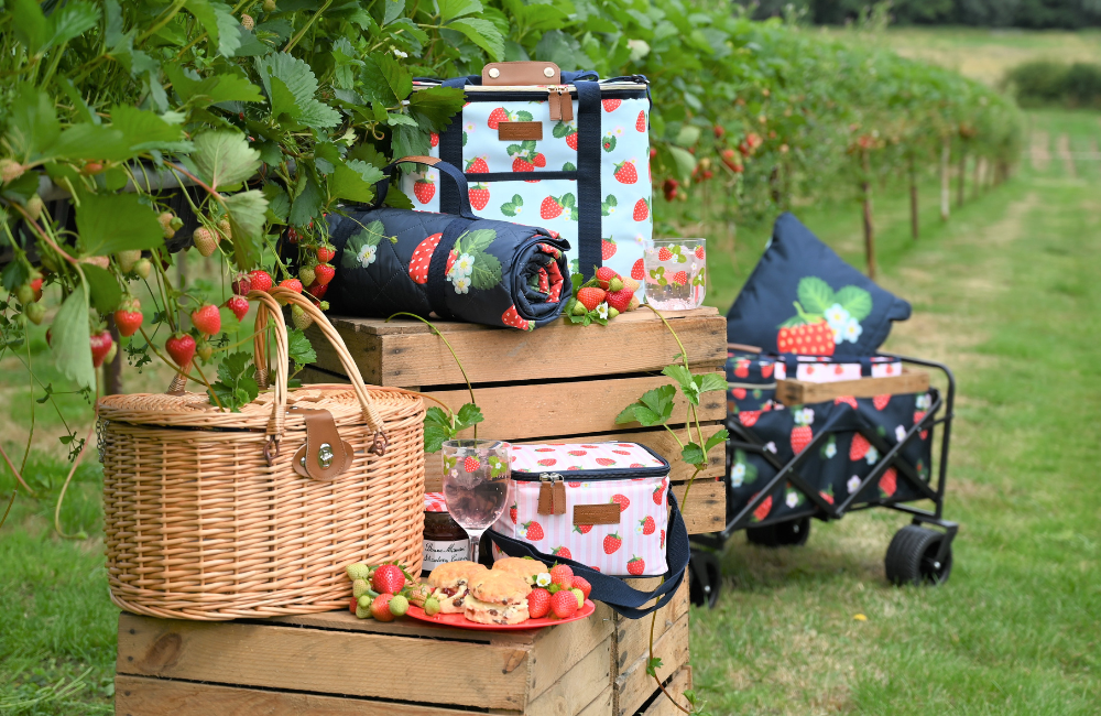 Picnic Sets