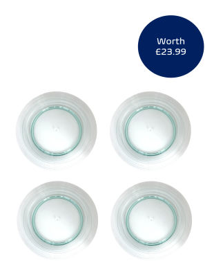 Recycled Look Plate set of 4