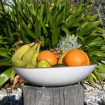 White Willow Wood Fruit Bowl