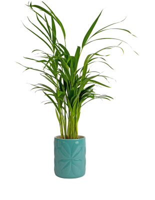 Carnaby large teal pot Teal